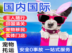 丹霞机场托运国际宠物托运 【国
